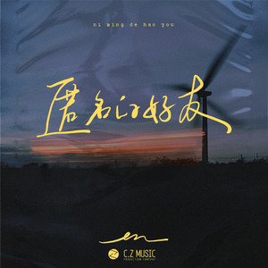 汤芳在METCN的成名经历简介
